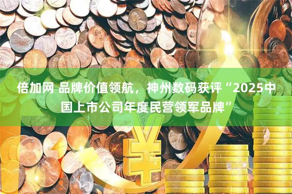 倍加网 品牌价值领航,神州数码获评“2025中国上市公司年度民营领军品牌”