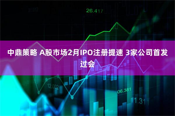 中鼎策略 A股市场2月IPO注册提速 3家公司首发过会
