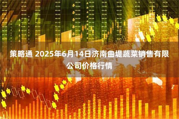 策略通 2025年6月14日济南曲堤蔬菜销售有限公司价格行情