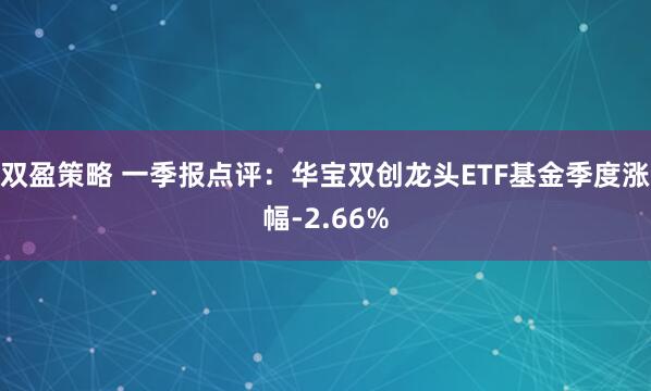 双盈策略 一季报点评：华宝双创龙头ETF基金季度涨幅-2.66%